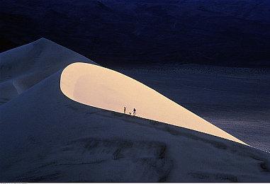 《世界岛：宅急送》Steam页面 年内发售